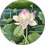 Chavela A., verified Google reviewer of The Lavatory